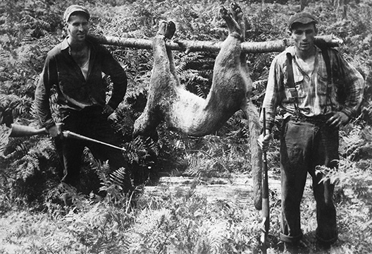 Two men stand with a cougar they trapped.